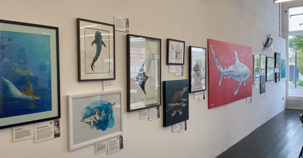 Sharks on Canvas: Fin-tastic 'Oceanic 31' dives into Merchant City to ...