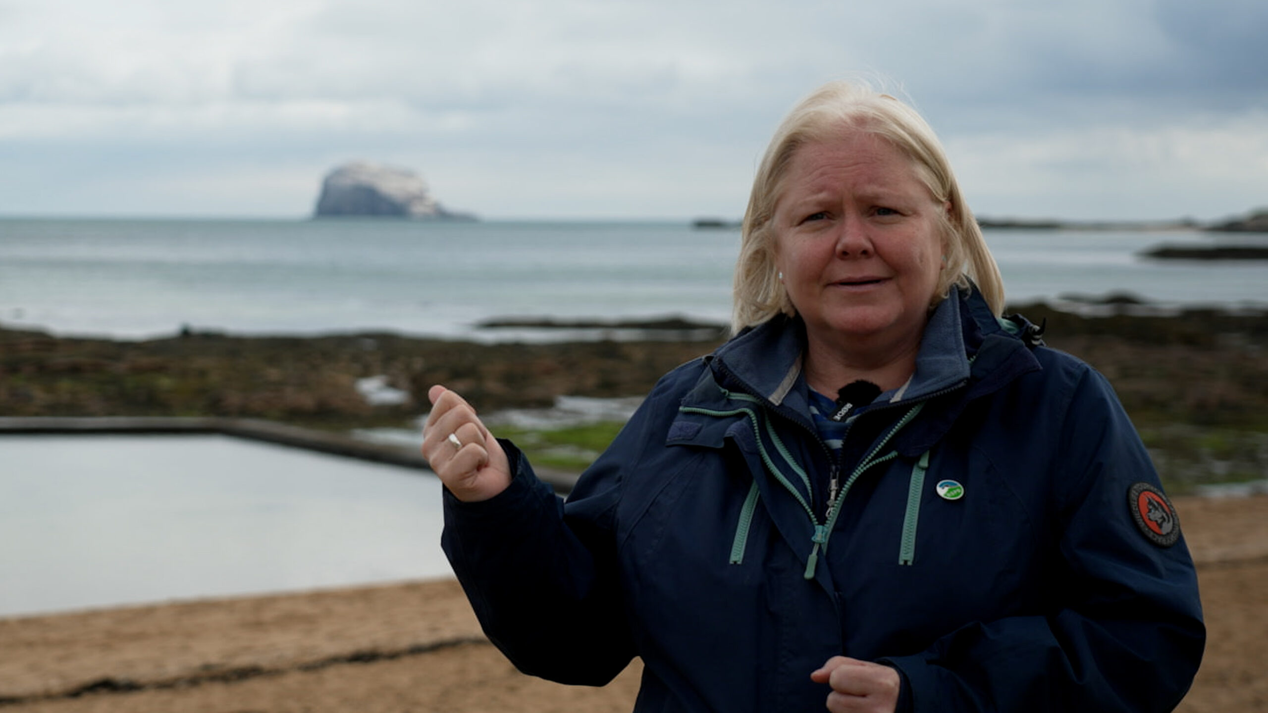 Charities urge against 'catastrophic' wind farm over seabird threat ...